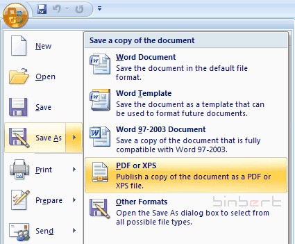 Software Save As Pdf Office 2010